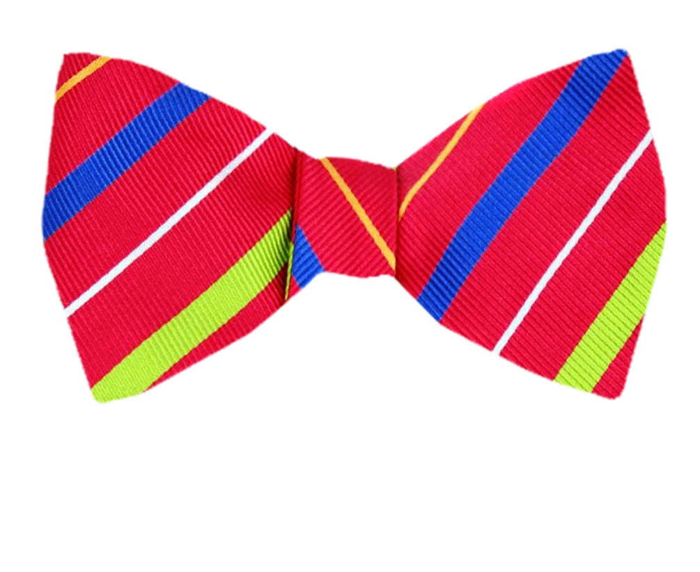 Mens Silk Fashion Designs Self Tie Bowtie Tie Yourself Bow Ties