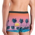 thumbnail image 5 of Bingfone Beach With Palm Trees Men'S Underwear - Casual Stretch Boxer Briefs-Small, 5 of 9