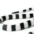 thumbnail image 2 of WEUVEB 1Pc Realistic Coral Snake Model Ornament for Home Office Decoration Made with Excellent Craftsmanship, 2 of 8
