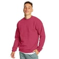 thumbnail image 1 of Hanes Ecosmart Crewneck Sweatshirt Unisex, 1 of 1