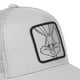 thumbnail image 4 of El Más Nuevo Looney Tunes Verano BUGS BUNNY Gorra De Béisbol De Dibujos Animados Sombrero De Malla Red Snapback Mujeres Hombres trucker CHARLIE PORKY, 4 of 4