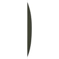 thumbnail image 3 of Ekena Millwork 19 5/8"W x 19 5/8"H Saturn EnduraWall Decorative 3D Wall Panel, UltraCover Satin Hunt Club Green (Covers 2.67 Sq. Ft.), 3 of 6