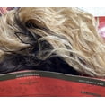 thumbnail image 7 of Eve Collection Lace front Wig 100% Hand Tied Lace Part  -Style: IL-810H  / COLOR: OM6/27/613, 7 of 7