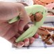 thumbnail image 5 of Pinza de plástico para cascanueces de nueces | Herramienta de plástico resistente para pelar cangrejos | Mango ergonómico para cascar nueces y mariscos | Aparato de cocina fácil de limpiar par, 5 of 5