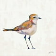 thumbnail image 2 of Vertentes, Jeanette 15x15 White Modern Wood Framed Museum Art Print Titled - Coastal Plover III Linen, 2 of 4