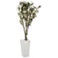 thumbnail image 3 of Nearly Natural 5832 6 ft. Olive Artificial Tree in White Tower Planter, 3 of 6
