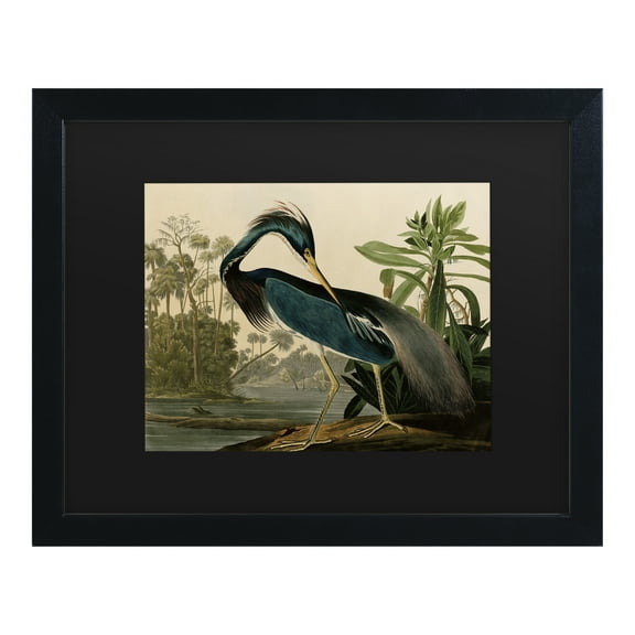 Trademark Fine Art 'Louisiana Heron' Canvas Art by John James Audubon