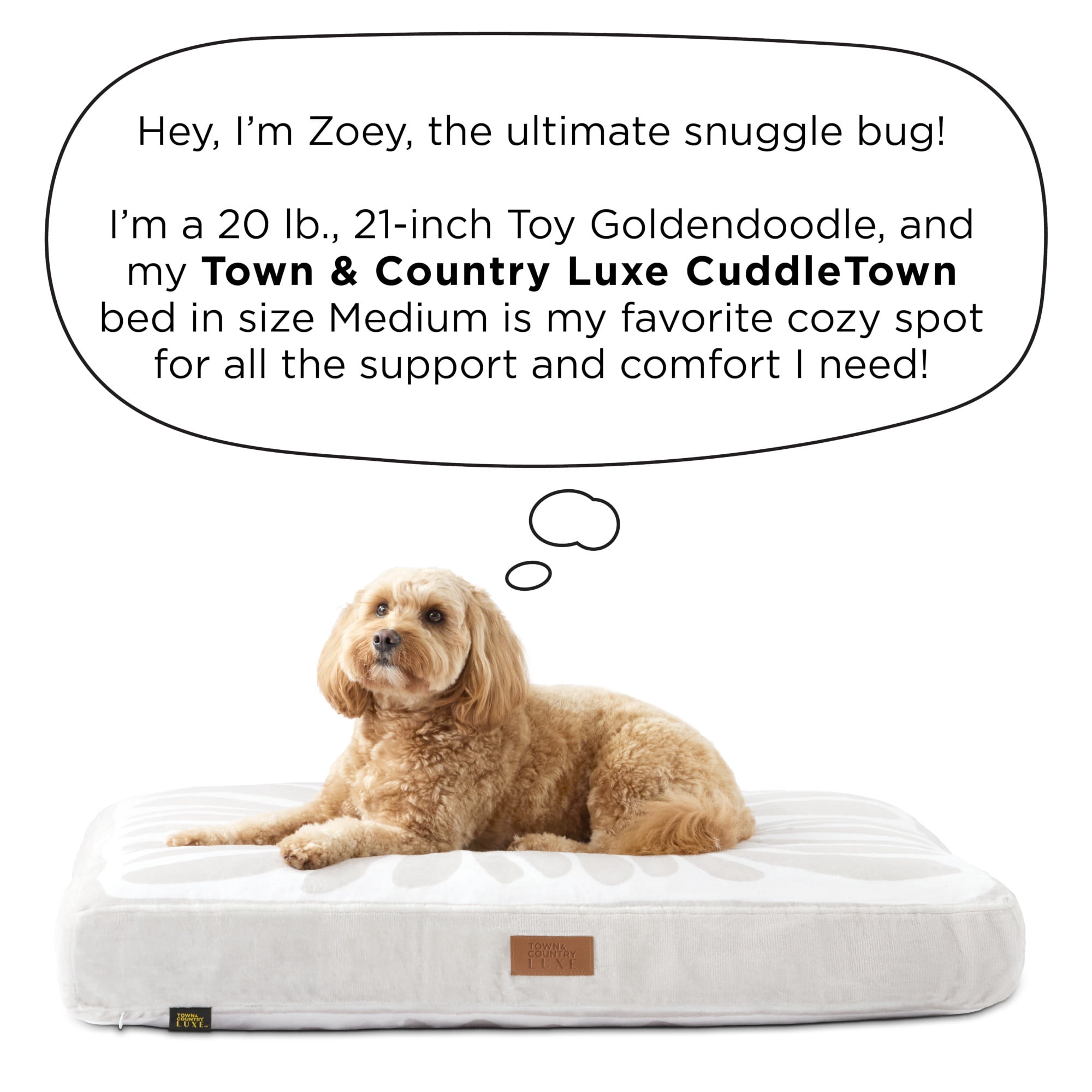 TOWN & COUNTRY LUXE CuddleTown Matisse Everwash® Pillow Pet Bed, Water Repellent Floor Pillow, Machine Washable Cover, Soft & Calming, Green, Medium 36"x28"x4"