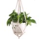 thumbnail image 4 of Soporte De Macramé Para Colgar Planta Con Gancho, 4 of 5