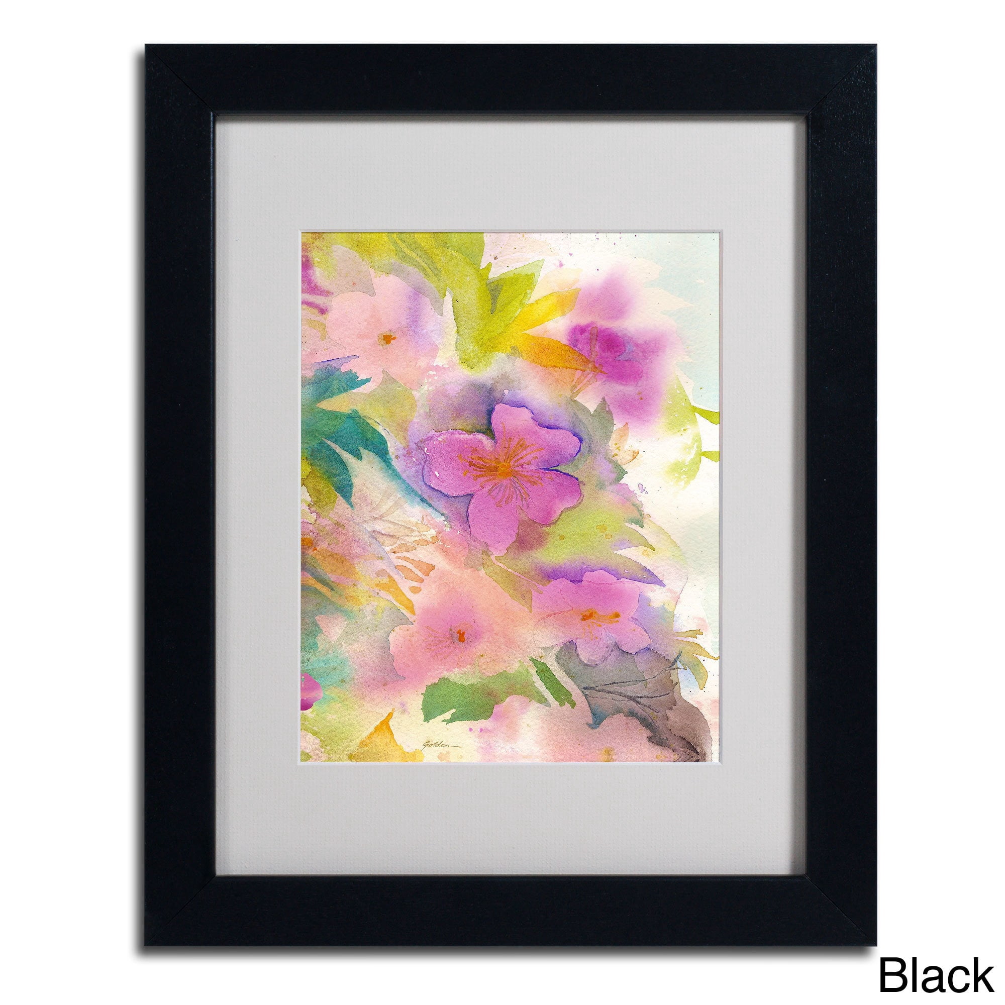 Trademark Fine Art "Cascade" Canvas Art by Sheila Golden, Wood Frame