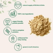 Micro Ingredients Pea Protein Powder, 5lb | Unflavored Vegan Protein from North American, Non-GMO, Keto Friendly