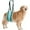 Turquoise, variant on UOSIA Dog Lift Harness Medium - Hind Leg Support Sling with Hip Padding