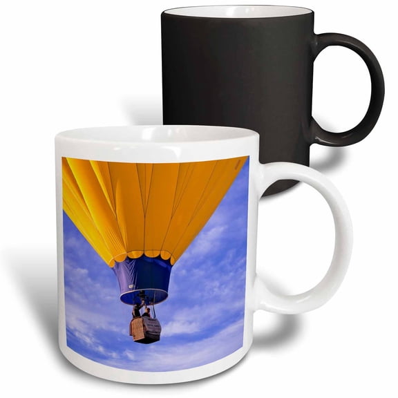 3drose, Idaho, Teton Valley, Hot-air Balloon Basket - Us13 Rer0008 - Ric Ergenbright, 11oz Magic Transforming Mug