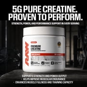 RAW Nutrition Essential Creatine Monohydrate Powder, 5g Per Serving, Unflavored, 50 Servings
