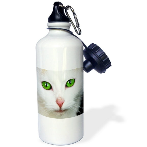 3dRose, Kitty white, cat, pet, animal, 21 oz Sports Water Bottle