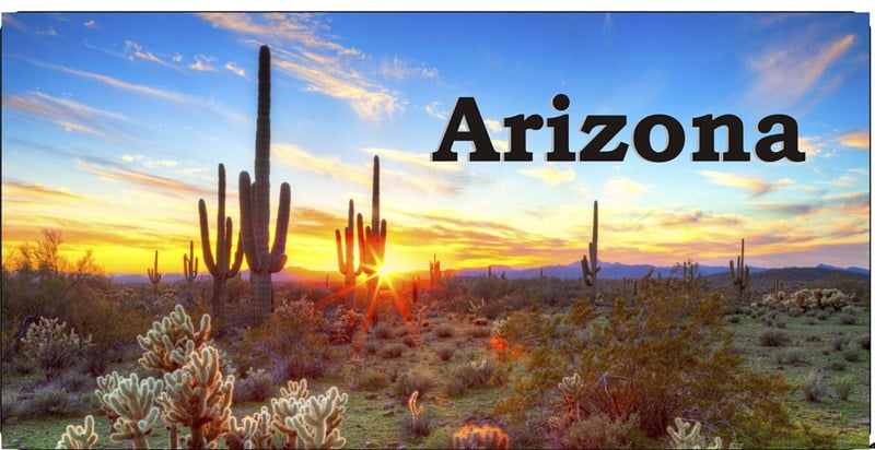 Arizona Desert Sunset #2 Photo License Plate - Walmart.com