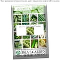 thumbnail image 2 of Armenian Pale Green Cucumber Seeds, 100 Heirloom Seeds Per Packet, Non GMO Seeds, Isla's Garden Seeds, 2 of 9