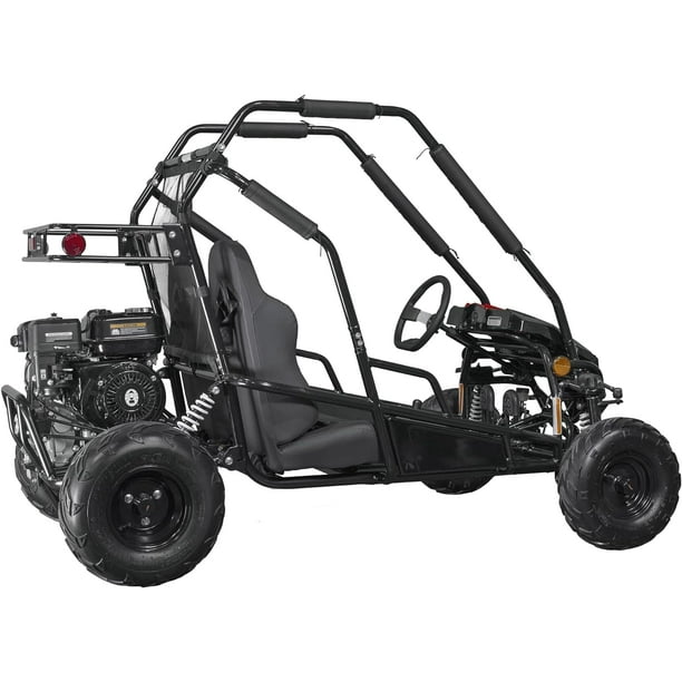 かーみん休暇中② Coleman Powersports GK200 196cc Gas Powered Go-Kart, Two-Seater