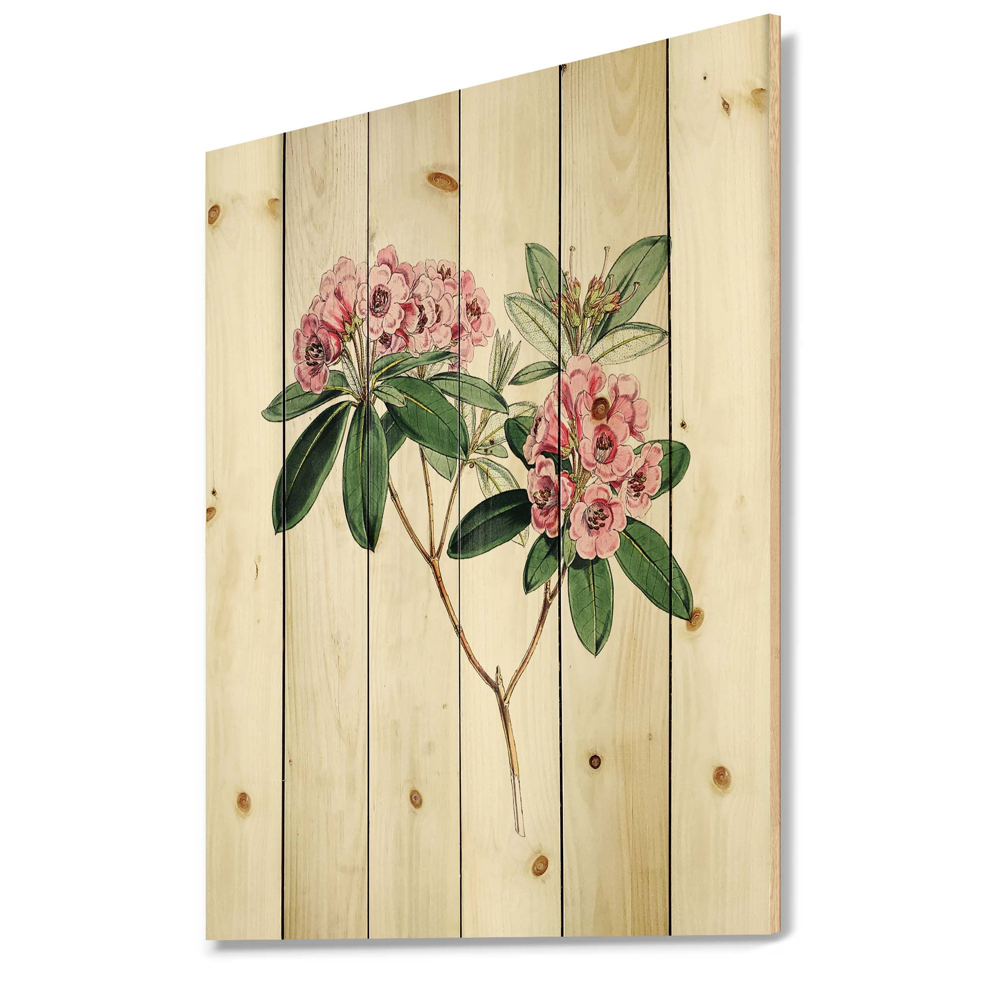 Designart 'Ancient American Flora II' Traditional Print on Natural Pine Wood