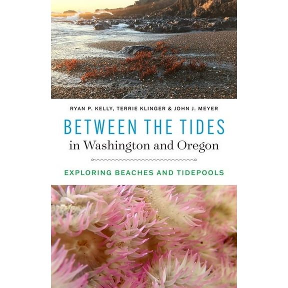 Between the Tides in Washington and Oregon: Exploring Beaches and Tidepools, (Paperback)