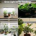 thumbnail image 2 of Grow Light for Seed Starting with Stand,Double Tube T5 Grow Lights 1.4Ft,Seed Starter Light Kit,5000K White Full Spectrum  Growing Lamp Strips for Indoor Plants,Seeds Starting,Height Adjustable, 2 of 8