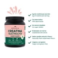 thumbnail image 4 of NOCHIOLA Creatina con Electrolitos, Sabor Sand&iacute;a, 5g Creatina por Porci&oacute;n, Sin Az&uacute;car, Endulzado con Stevia, 300g, 30 Porciones, 4 of 5