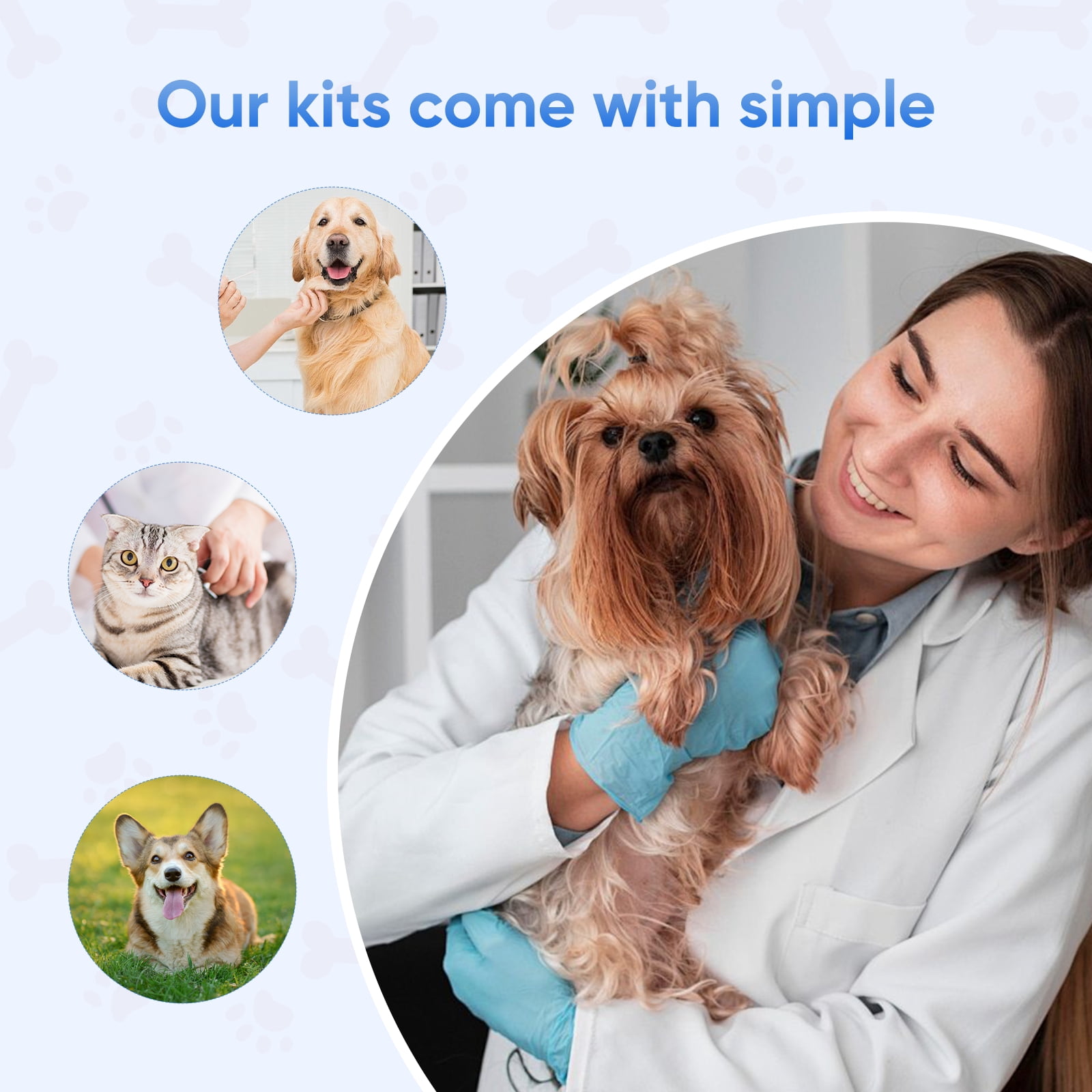 Rapid 5-Piece GIA Test Kit for Dogs & Cats: Home Giardia Detection in Feces/Vomit in 5-10 Min! Easy, Non-Invasive for All Breeds & Ages