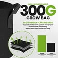 thumbnail image 3 of 3/ 5/10-gallon Fabric Growth Bag, Heavy Duty Thickened Fabric Flowerpot, Inflatable Fabric Flowerpot with Handle, Non-woven Fabric Bag Suitable for Vegetables, Flowers, Mushrooms (black), 3 of 6