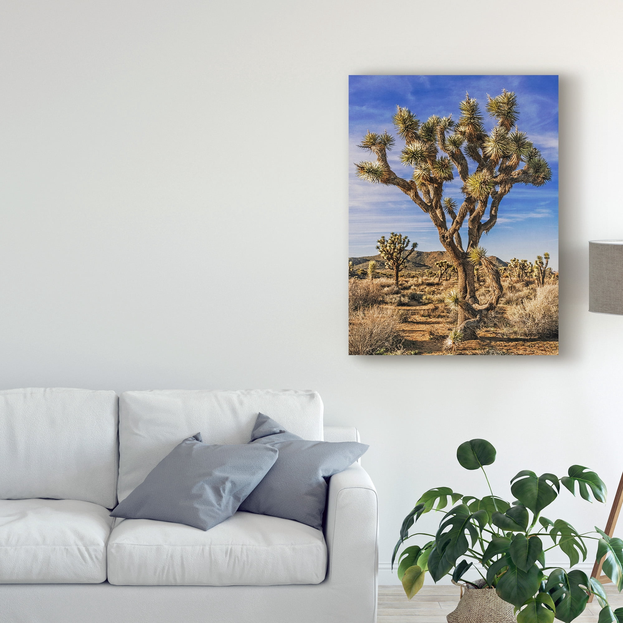 Trademark Fine Art 'Views of Joshua Tree III' Canvas Art by Rachel Perry
