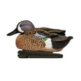 thumbnail image 4 of Avian X Topflight Blue-Winged Teal Duck, Realistic Duck Decoy, Set of 2, 4 of 4