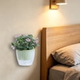 thumbnail image 6 of WWV Wall Mounted Hydroponic Planter ,Plants Holder Wall Pots for Indoor Plants ,Transparent Self Watering Flower Pot for Home Decor Office Home Garden Decoration Gift Green, 6 of 6