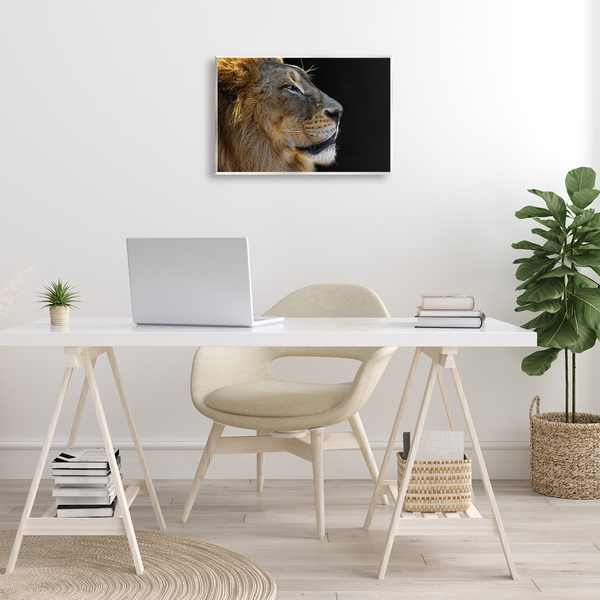 Stupell Industries Fierce Lion Looking Right Animals Photography Unframed Art Print Wall Art, 19 x 13
