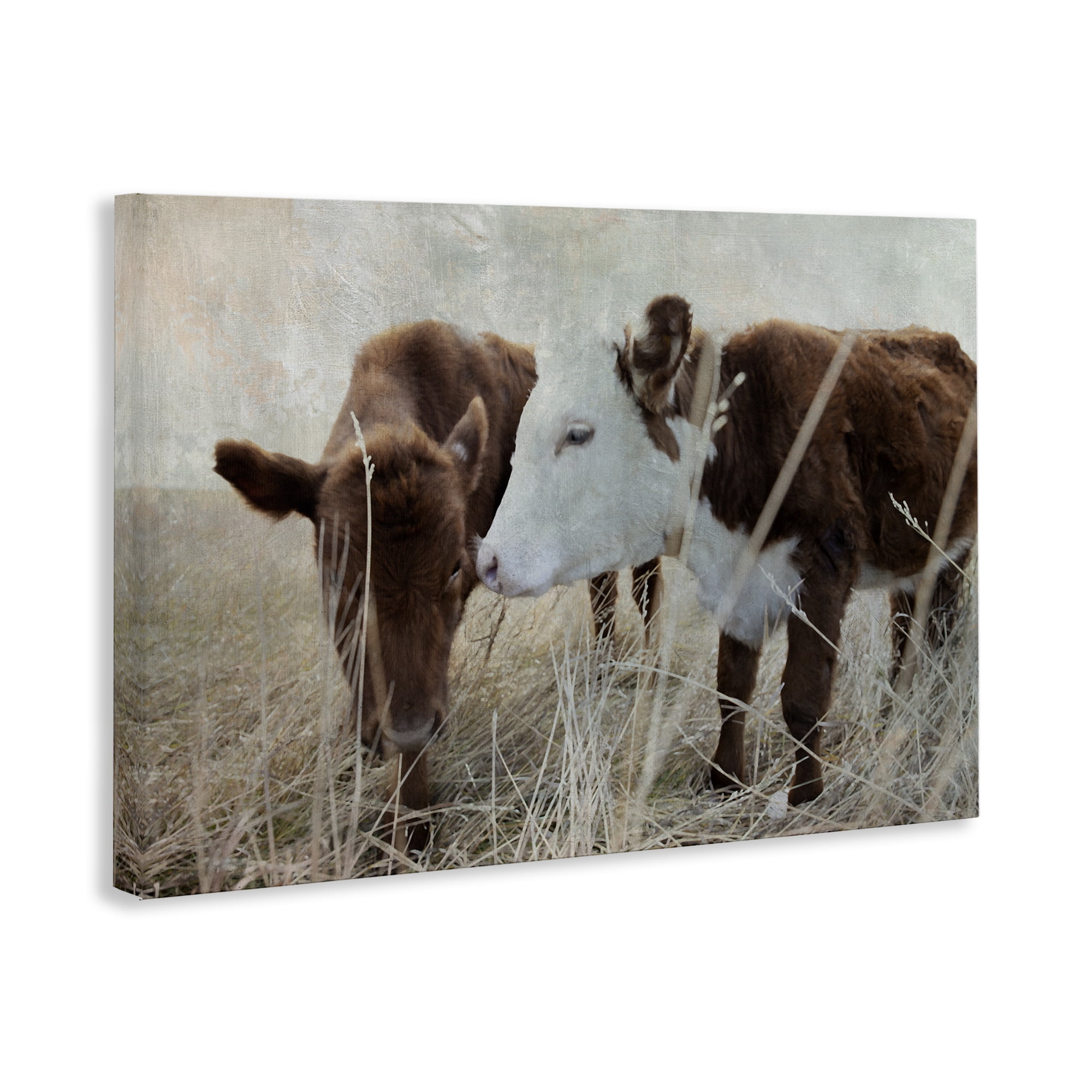Stupell Industries Baby Calf Pair in Grass Animals & Insects Photography Gallery Wrapped Canvas Art Print Wall Art, 36 x 24