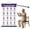 Purple (A), variant on Plertrvy Tai Chi Walking Workout Walking Workout Poster A, 60x40cm Exercise Wall Chart, Step Fitness Guide, Home Gym Instructional Wall Decor (Purple A)