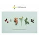 thumbnail image 3 of LifeSeasons - Apoyo antioxidante - Baya de acai, astaxantina, resveratrol, ácido R-alfa lipoico y extracto de granada - 90 cápsulas, 3 of 3
