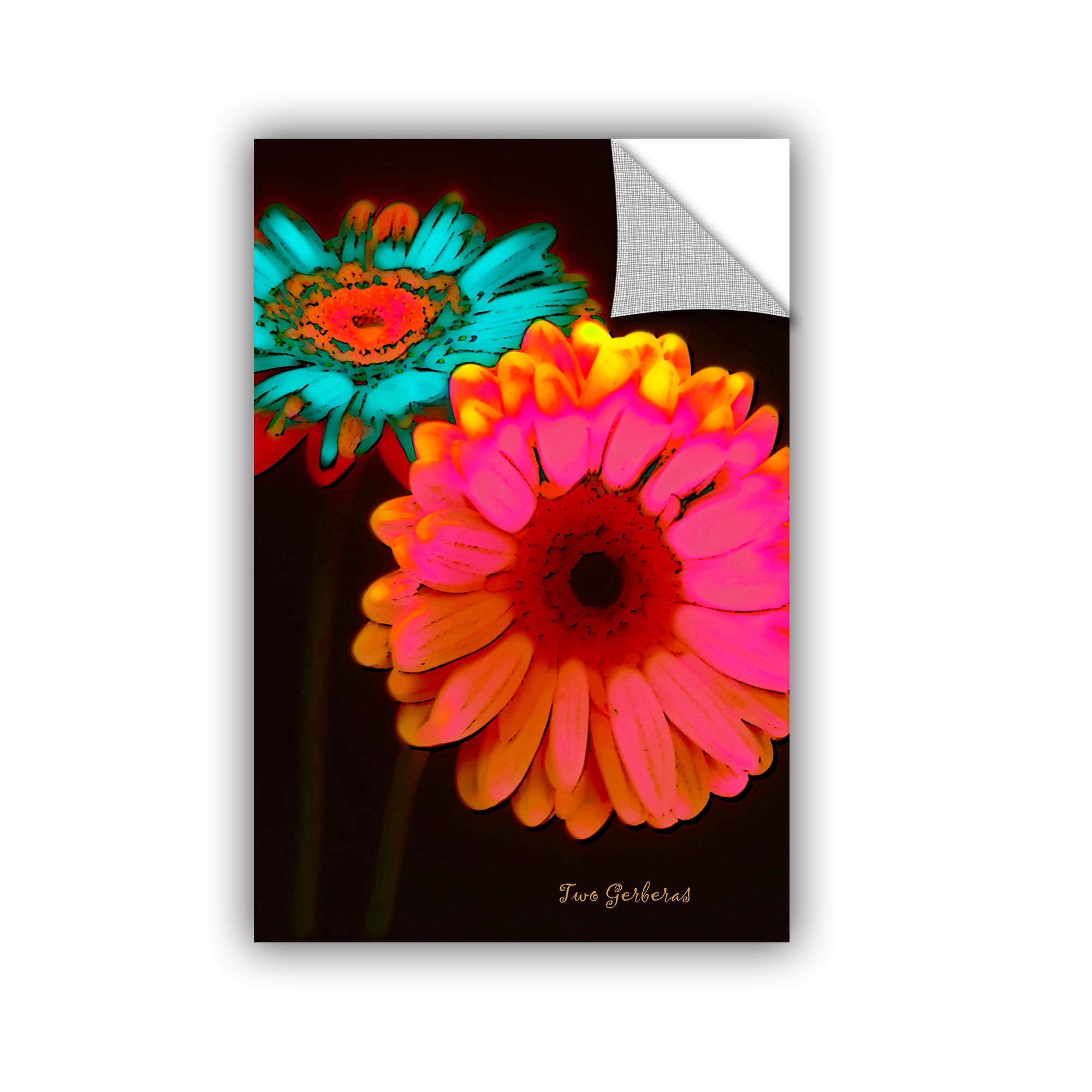 ArtAppealz Linda Parker "Two Gerberas At Night" Removable Wall Art