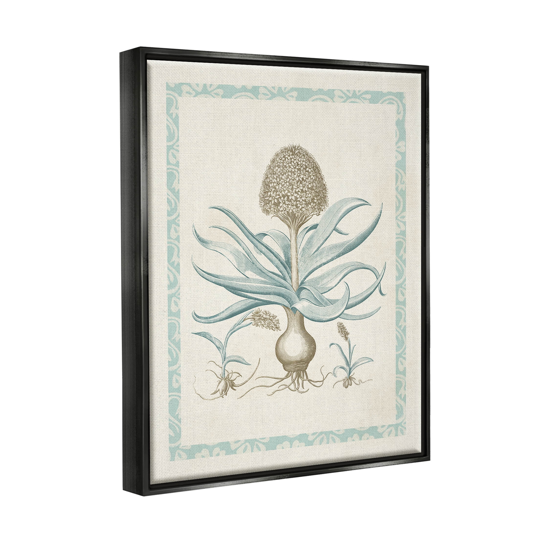 Stupell Industries Botanical Latin Study Plant Graphic Art Jet Black Floating Framed Canvas Print Wall Art, Design by Vision Studio