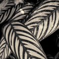 thumbnail image 2 of Horsfall, Gary 26x26 Black Ornate Wood Framed with Double Matting Museum Art Print Titled - Varigated Leaves No. 2, 2 of 4
