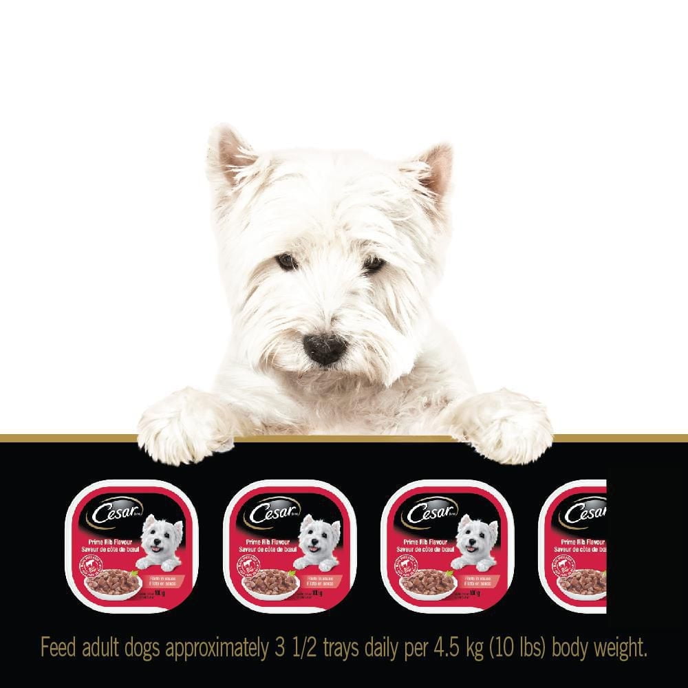 Cesar Filets in Sauce Prime Rib Flavour Soft Wet Dog Food, 100g