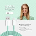 thumbnail image 4 of Liquipel Powertek Pastel Braided USB-A to USB-C - Mint, 4 of 7