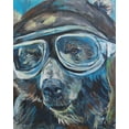 thumbnail image 2 of Kamdon Kreations 12x14 White Modern Wood Framed Museum Art Print Titled - Pilot Bear 1, 2 of 4