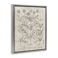 thumbnail image 3 of Stupell Industries Traditional Vintage Plant Life Gray Floating Frame Canvas Art, 17 x 21, by Lettered and Lined, 3 of 8