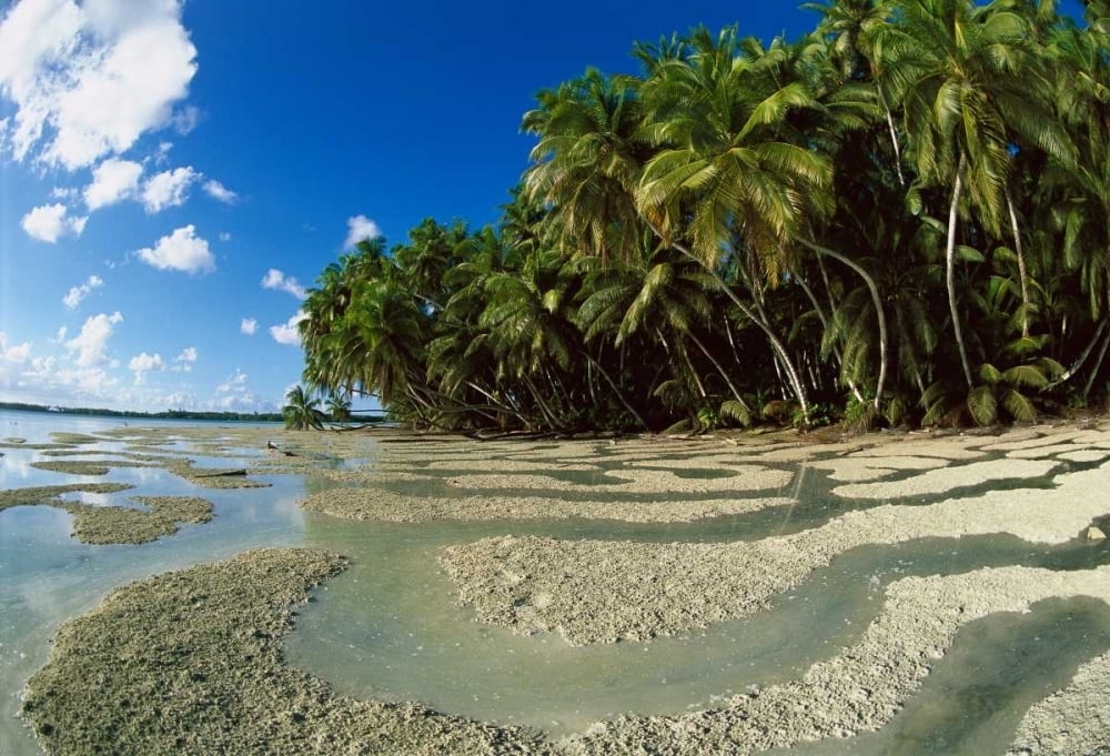 palmyra atoll palmyra atoll