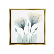 Stupell Industries Opaque Tulip Duo Botanical & Floral Photography Gold Floater Framed Canvas Art Print Wall Art, 18 x 18