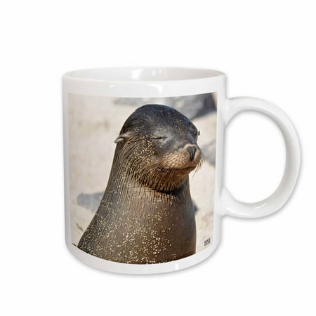 

3dRose Galapagagos sea lion Zalophus wollebaeki Ceramic Mug 15-ounce