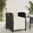 thumbnail image 1 of vidaXL Chaise de Jardin Inclinable avec Repose-Pieds en Rotin Poly Noir, 1 of 5