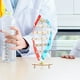 thumbnail image 2 of Kit de modelo de doble hélice de ADN de 2 piezas para autoensamblaje en aulas de biología Juguete didáctico para proyectos escolares y materiales de ciencias de la vida, 2 of 7