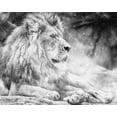thumbnail image 4 of Papier Peint 3D Lion Blanc SKU WAL0165, 4 of 6
