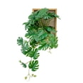 thumbnail image 2 of Tranfacy Home Decorations,Wall Decorations,Wooden Rectangular Photo Frame Hanging Decorations High Class Feeling Living Room Green Wall Decorations Faux Rattan Wall Decorations, 2 of 4