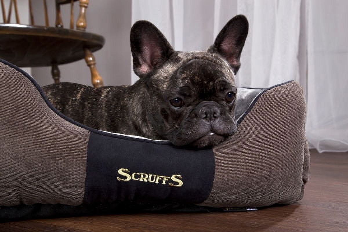 Scruffs® Chester Box Dog Bed, Modern Design, Machine Washable, Super-Soft Plush Pile Lining, Non-Slip Base, Durable Construction (Small) - Graphite Grey